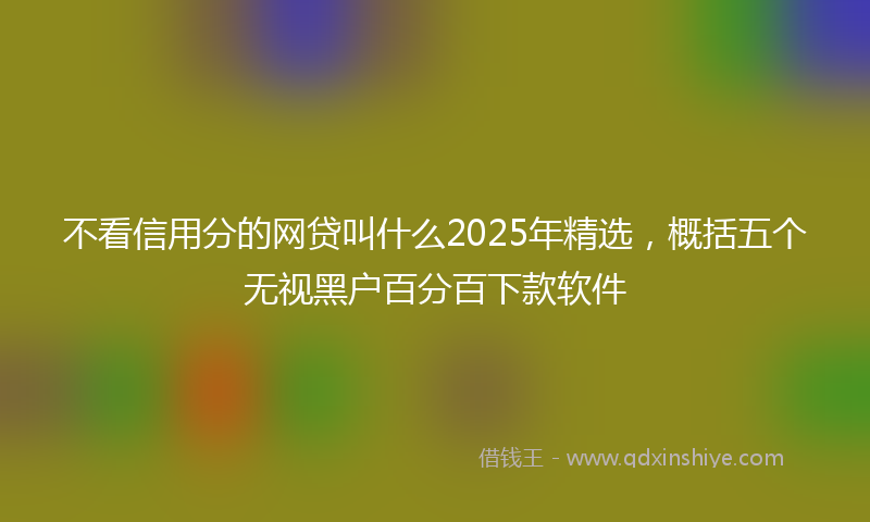 不看信用分的网贷叫什么2025年精选，概括五个无视黑户百分百下款软件