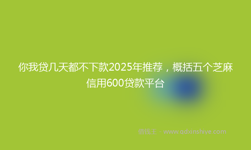 你我贷几天都不下款2025年推荐，概括五个芝麻信用600贷款平台