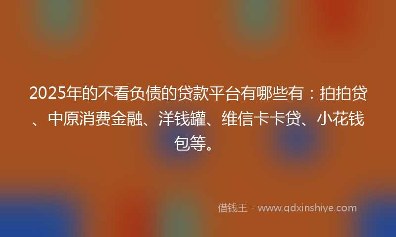 2025年的不看负债的贷款平台有哪些有：拍拍贷、中原消费金融、洋钱罐、维信卡卡贷、小花钱包等。