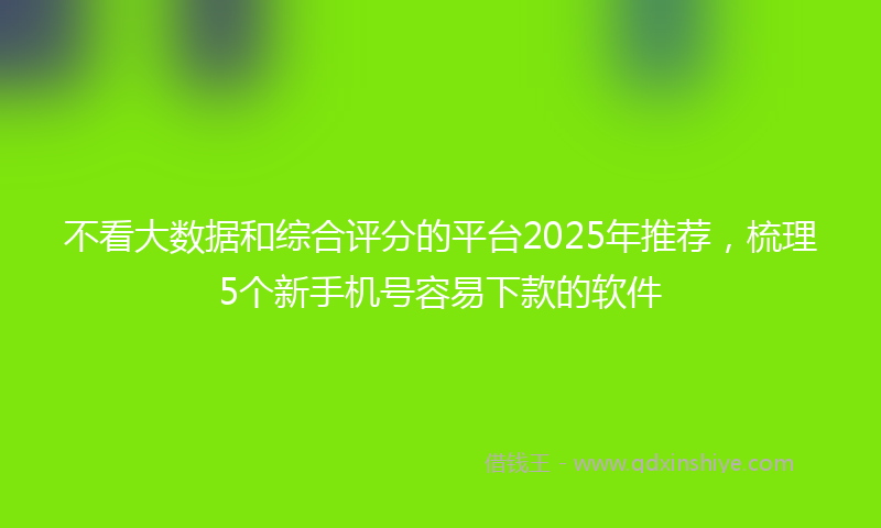 不看大数据和综合评分的平台2025年推荐，梳理5个新手机号容易下款的软件