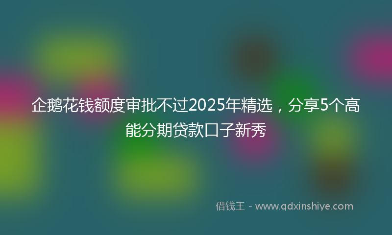 企鹅花钱额度审批不过2025年精选，分享5个高能分期贷款口子新秀