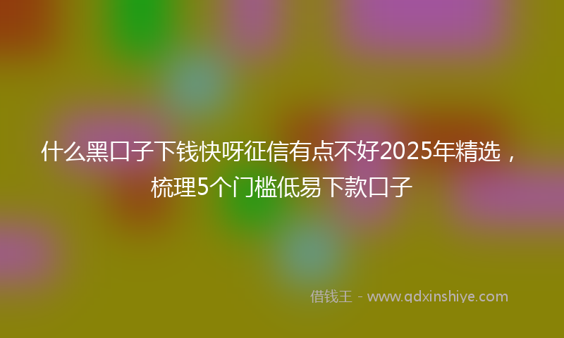 什么黑口子下钱快呀征信有点不好2025年精选，梳理5个门槛低易下款口子