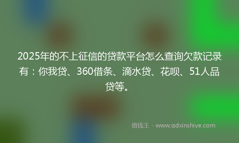 2025年的不上征信的贷款平台怎么查询欠款记录有：你我贷、360借条、滴水贷、花呗、51人品贷等。