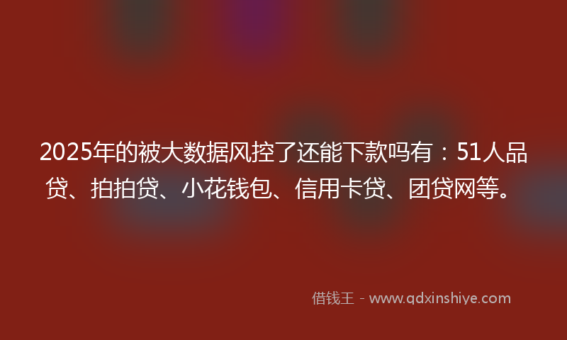 2025年的被大数据风控了还能下款吗有：51人品贷、拍拍贷、小花钱包、信用卡贷、团贷网等。