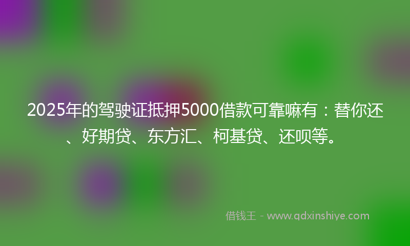 2025年的驾驶证抵押5000借款可靠嘛有：替你还、好期贷、东方汇、柯基贷、还呗等。