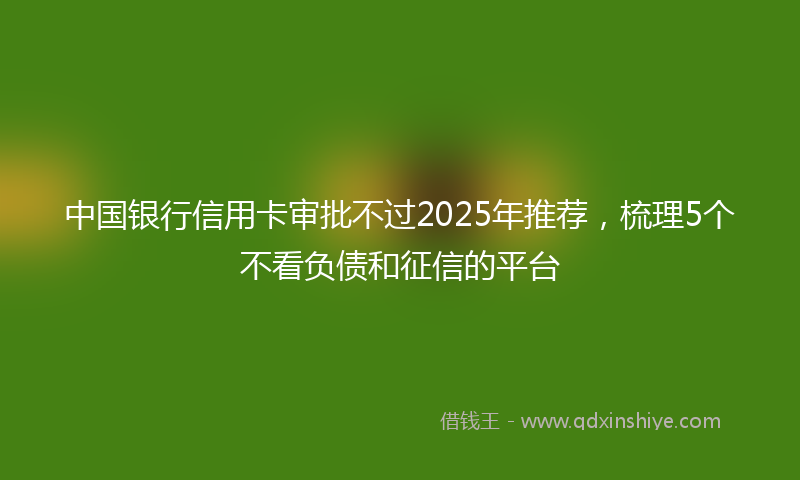 中国银行信用卡审批不过2025年推荐，梳理5个不看负债和征信的平台