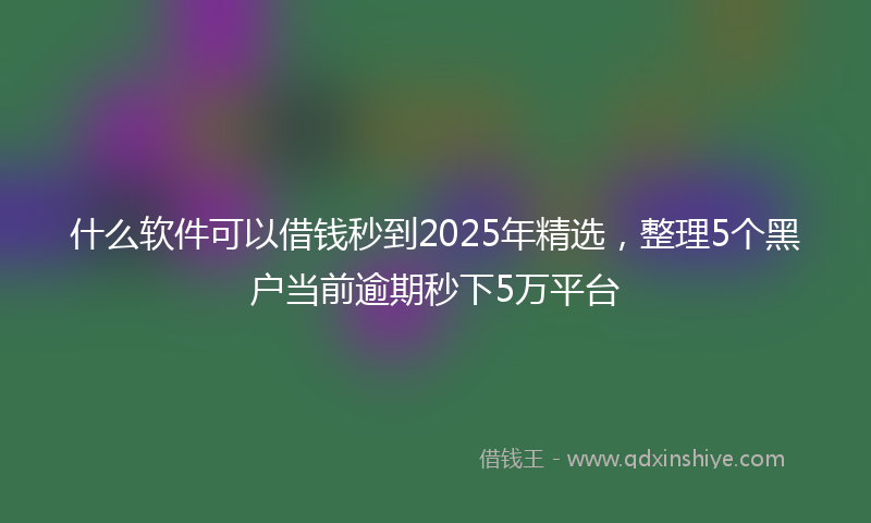什么软件可以借钱秒到2025年精选，整理5个黑户当前逾期秒下5万平台