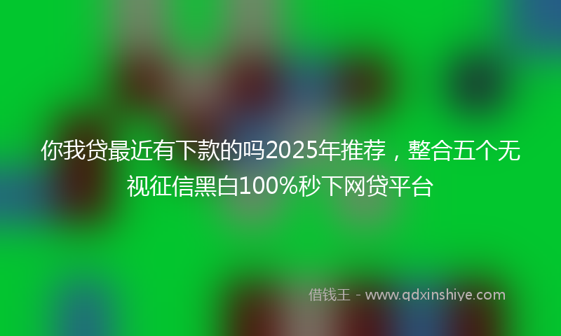 你我贷最近有下款的吗2025年推荐，整合五个无视征信黑白100%秒下网贷平台