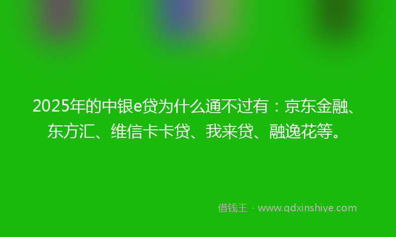 2025年的中银e贷为什么通不过有：京东金融、东方汇、维信卡卡贷、我来贷、融逸花等。