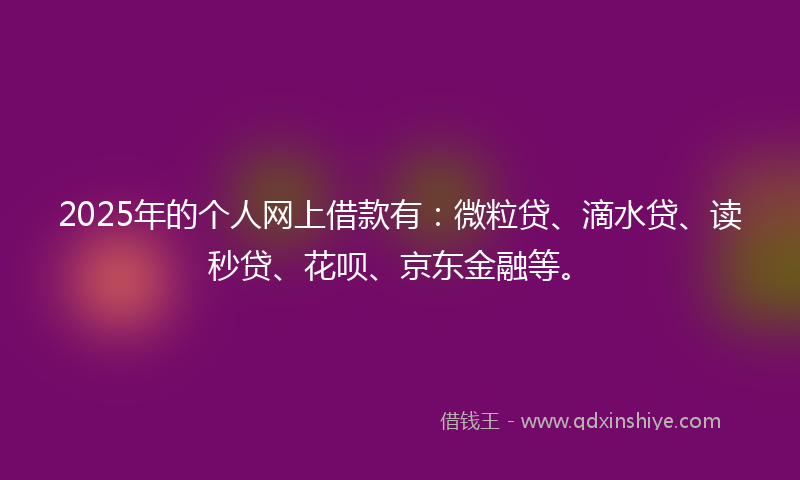 2025年的个人网上借款有：微粒贷、滴水贷、读秒贷、花呗、京东金融等。