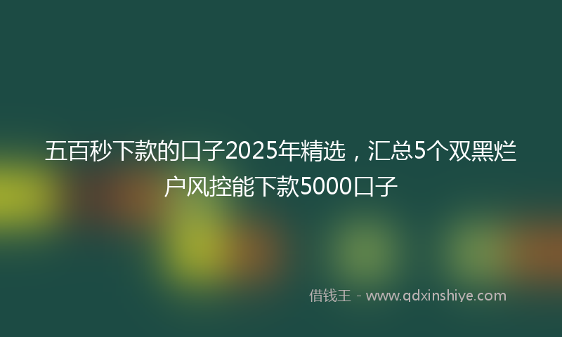 五百秒下款的口子2025年精选，汇总5个双黑烂户风控能下款5000口子