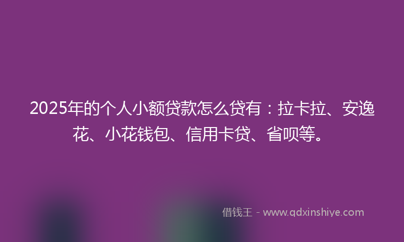 2025年的个人小额贷款怎么贷有：拉卡拉、安逸花、小花钱包、信用卡贷、省呗等。