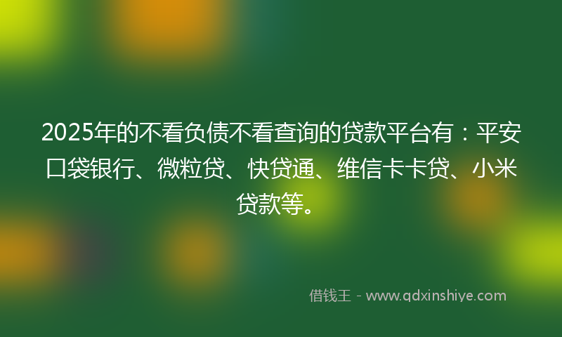 2025年的不看负债不看查询的贷款平台有：平安口袋银行、微粒贷、快贷通、维信卡卡贷、小米贷款等。