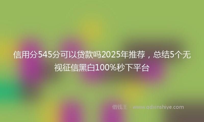 信用分545分可以贷款吗2025年推荐，总结5个无视征信黑白100%秒下平台