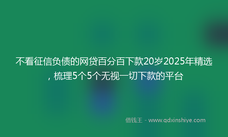 不看征信负债的网贷百分百下款20岁2025年精选，梳理5个5个无视一切下款的平台