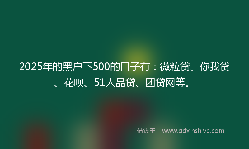 2025年的黑户下500的口子有：微粒贷、你我贷、花呗、51人品贷、团贷网等。
