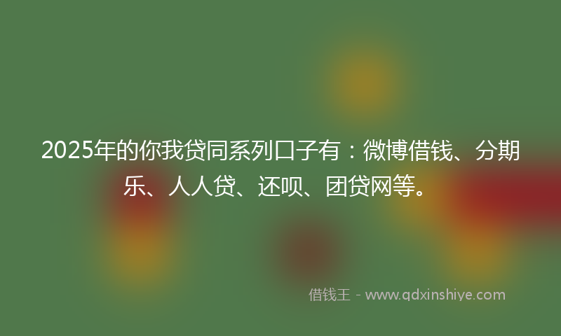 2025年的你我贷同系列口子有：微博借钱、分期乐、人人贷、还呗、团贷网等。