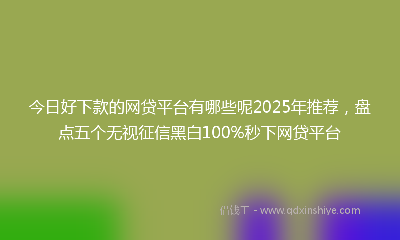 今日好下款的网贷平台有哪些呢2025年推荐，盘点五个无视征信黑白100%秒下网贷平台