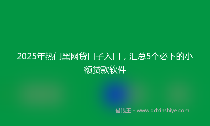 2025年热门黑网贷口子入口，汇总5个必下的小额贷款软件