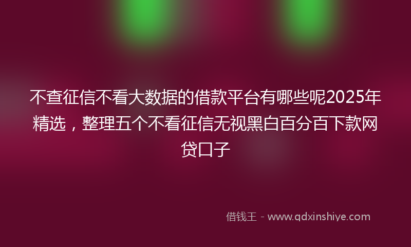 不查征信不看大数据的借款平台有哪些呢2025年精选，整理五个不看征信无视黑白百分百下款网贷口子