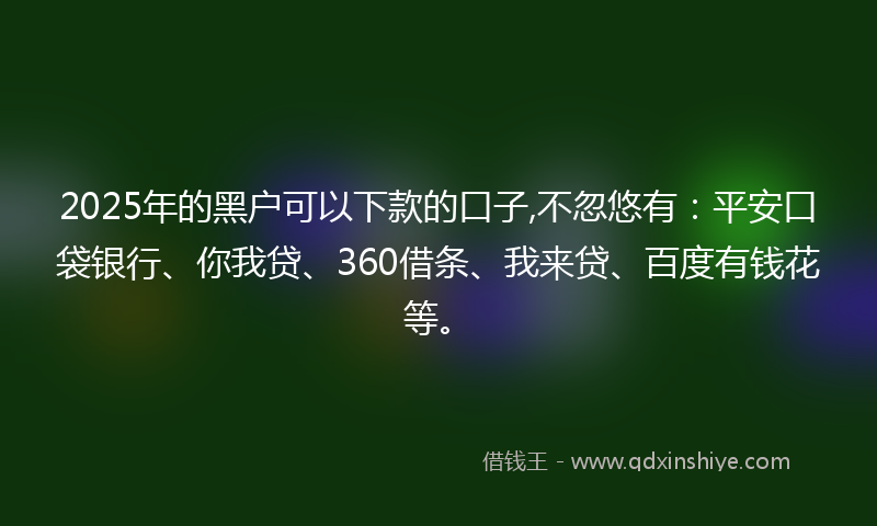 2025年的黑户可以下款的口子,不忽悠有：平安口袋银行、你我贷、360借条、我来贷、百度有钱花等。