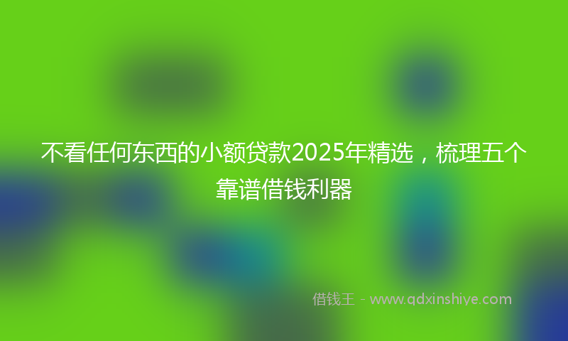 不看任何东西的小额贷款2025年精选，梳理五个靠谱借钱利器