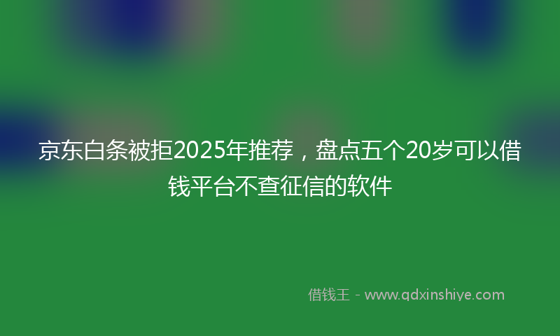 京东白条被拒2025年推荐，盘点五个20岁可以借钱平台不查征信的软件