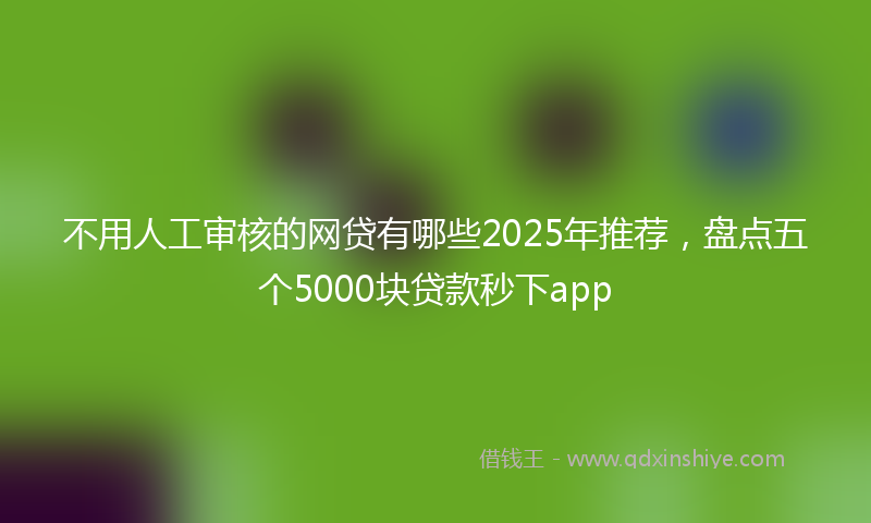不用人工审核的网贷有哪些2025年推荐，盘点五个5000块贷款秒下app