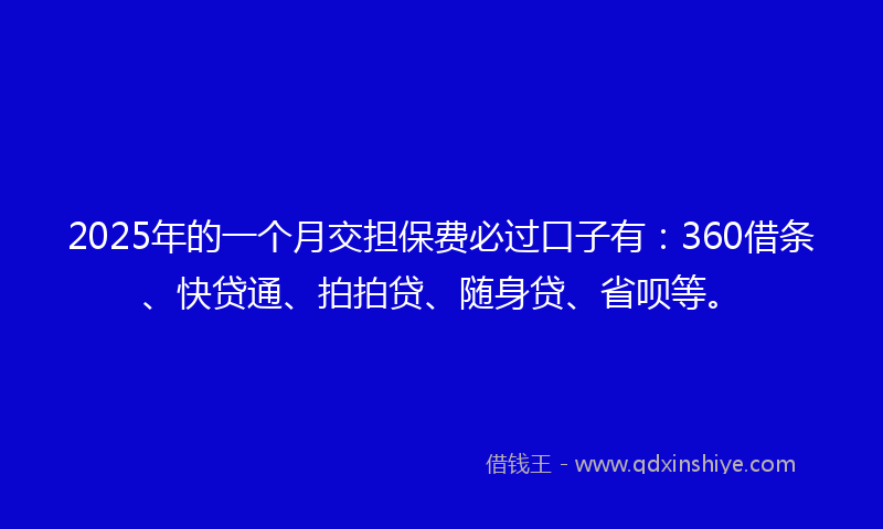 2025年的一个月交担保费必过口子有：360借条、快贷通、拍拍贷、随身贷、省呗等。
