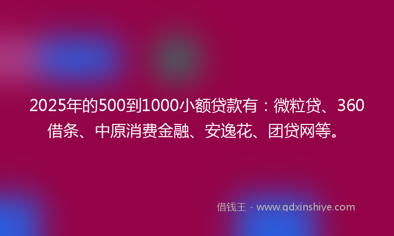 2025年的500到1000小额贷款有：微粒贷、360借条、中原消费金融、安逸花、团贷网等。