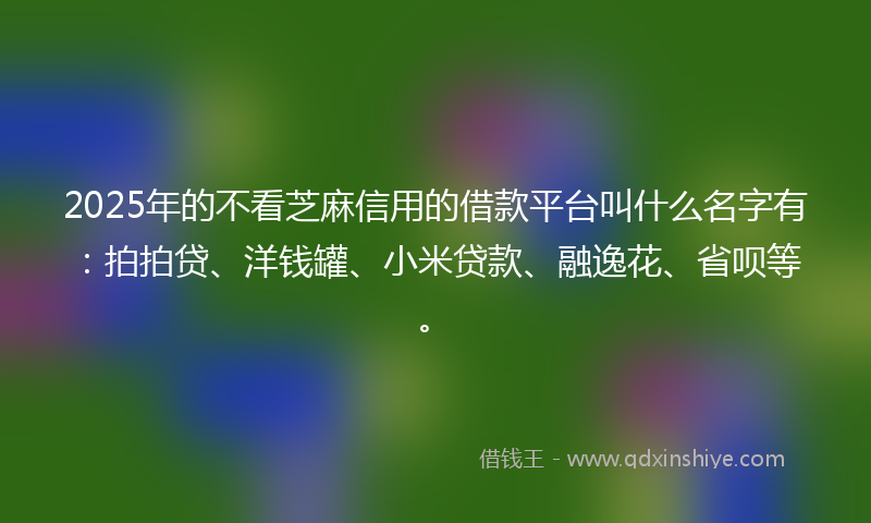 2025年的不看芝麻信用的借款平台叫什么名字有：拍拍贷、洋钱罐、小米贷款、融逸花、省呗等。