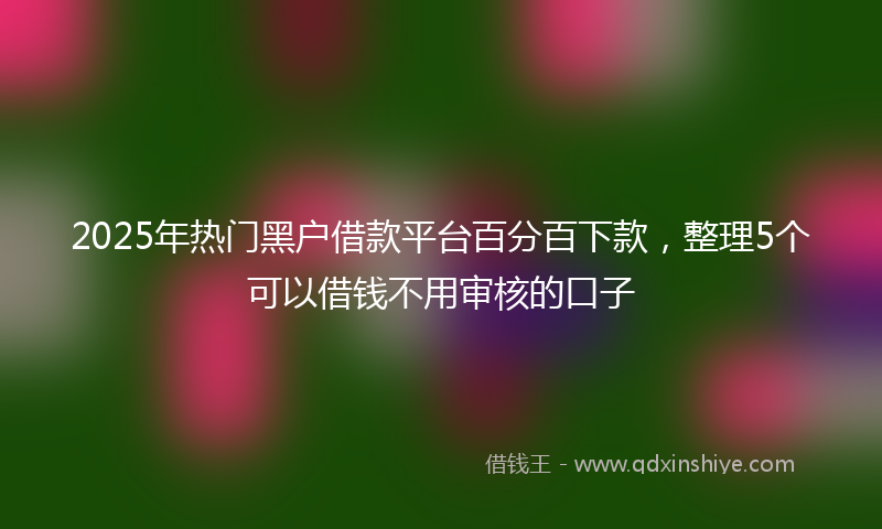 2025年热门黑户借款平台百分百下款，整理5个可以借钱不用审核的口子
