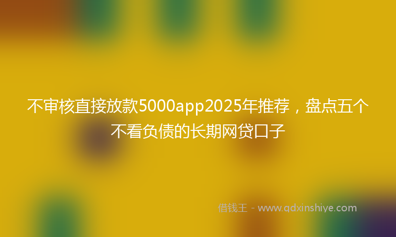 不审核直接放款5000app2025年推荐，盘点五个不看负债的长期网贷口子