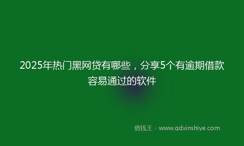 2025年热门黑网贷有哪些，分享5个有逾期借款容易通过的软件