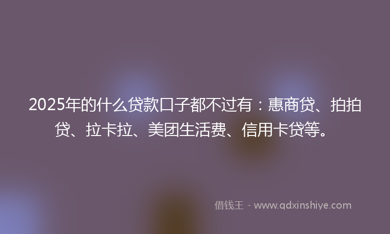 2025年的什么贷款口子都不过有：惠商贷、拍拍贷、拉卡拉、美团生活费、信用卡贷等。