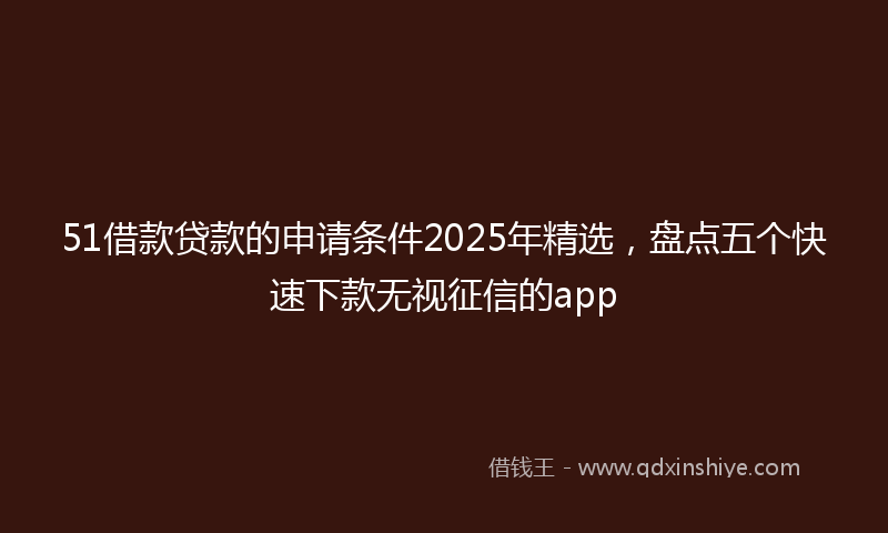 51借款贷款的申请条件2025年精选，盘点五个快速下款无视征信的app