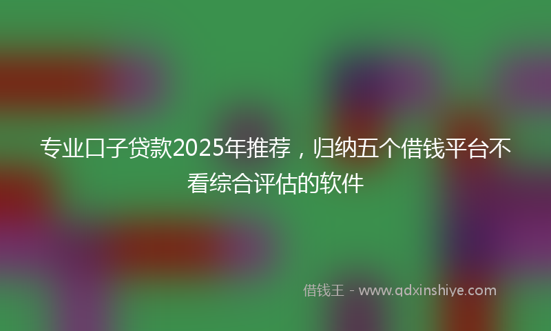 专业口子贷款2025年推荐，归纳五个借钱平台不看综合评估的软件