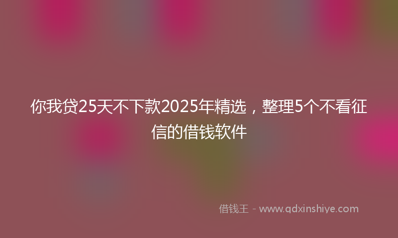 你我贷25天不下款2025年精选，整理5个不看征信的借钱软件