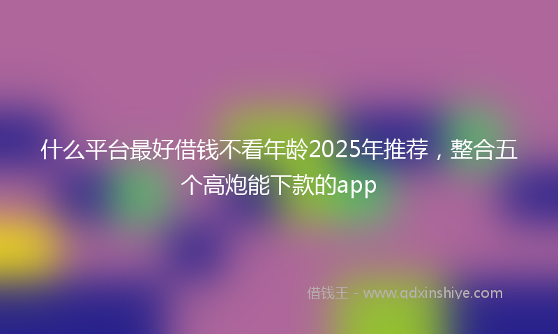 什么平台最好借钱不看年龄2025年推荐，整合五个高炮能下款的app