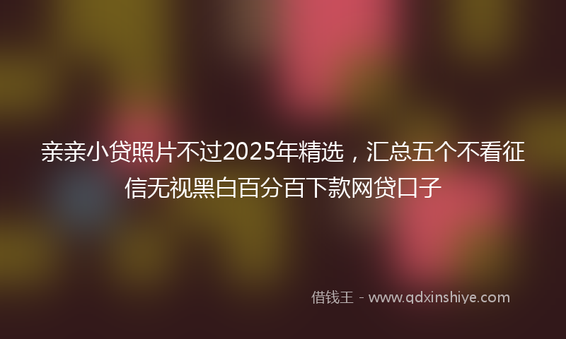 亲亲小贷照片不过2025年精选，汇总五个不看征信无视黑白百分百下款网贷口子