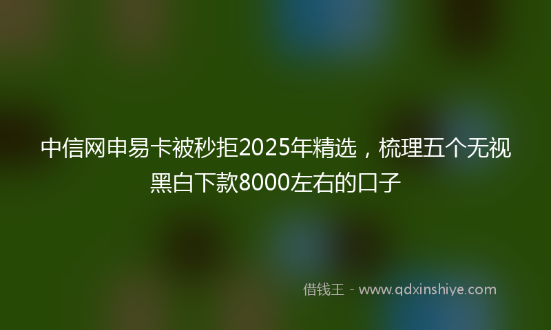 中信网申易卡被秒拒2025年精选，梳理五个无视黑白下款8000左右的口子