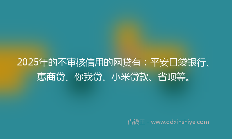 2025年的不审核信用的网贷有：平安口袋银行、惠商贷、你我贷、小米贷款、省呗等。
