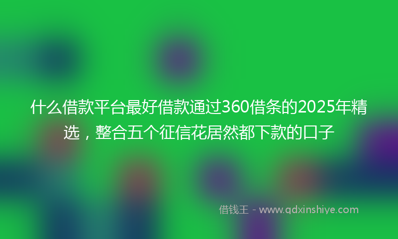 什么借款平台最好借款通过360借条的2025年精选，整合五个征信花居然都下款的口子