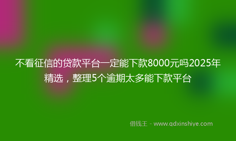 不看征信的贷款平台一定能下款8000元吗2025年精选，整理5个逾期太多能下款平台