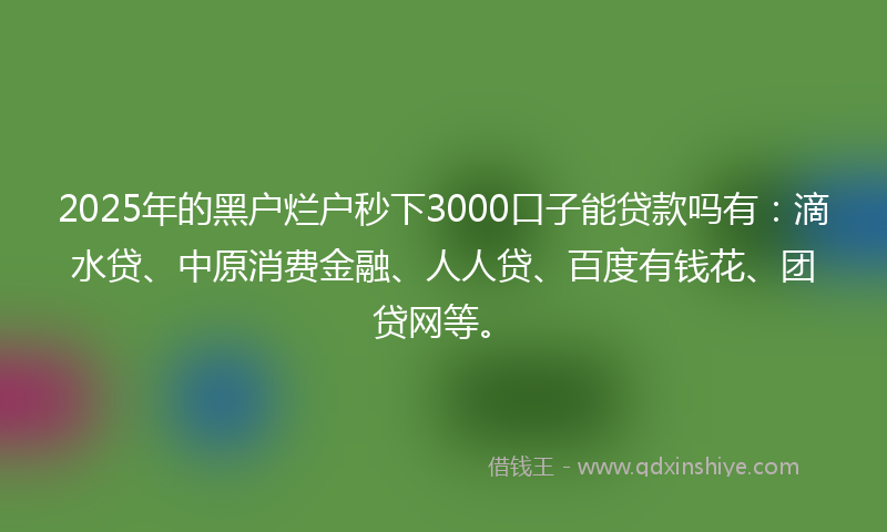2025年的黑户烂户秒下3000口子能贷款吗有：滴水贷、中原消费金融、人人贷、百度有钱花、团贷网等。