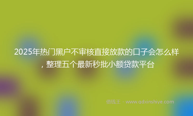 2025年热门黑户不审核直接放款的口子会怎么样，整理五个最新秒批小额贷款平台