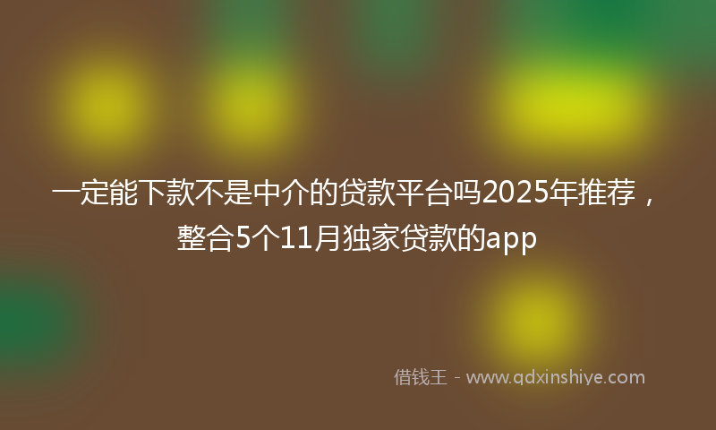 一定能下款不是中介的贷款平台吗2025年推荐，整合5个11月独家贷款的app