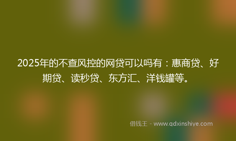 2025年的不查风控的网贷可以吗有：惠商贷、好期贷、读秒贷、东方汇、洋钱罐等。