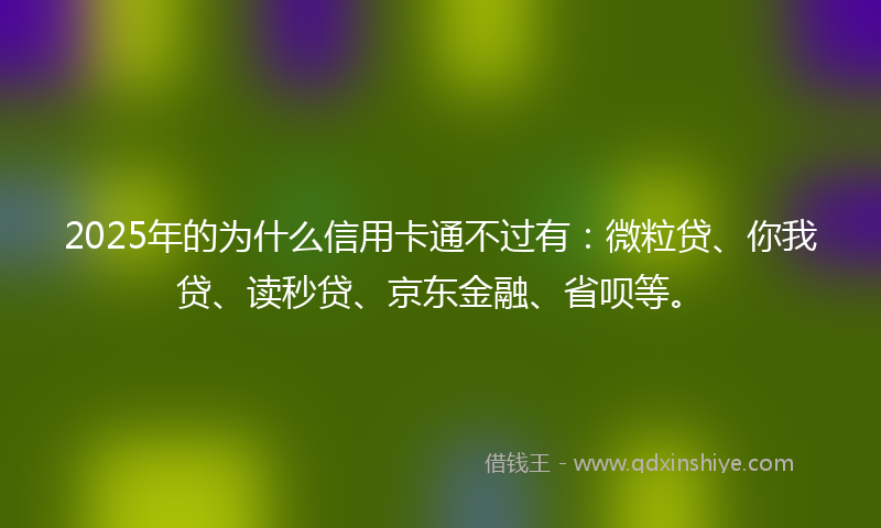 2025年的为什么信用卡通不过有：微粒贷、你我贷、读秒贷、京东金融、省呗等。
