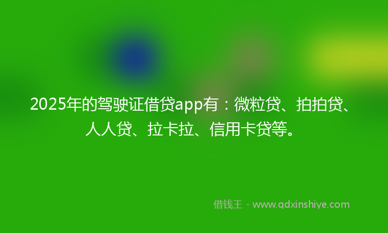 2025年的驾驶证借贷app有：微粒贷、拍拍贷、人人贷、拉卡拉、信用卡贷等。